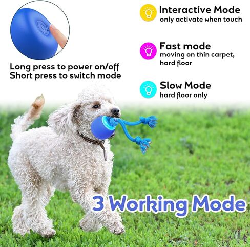 ألعاب تفاعلية للكلاب لإبقائهم يطاردون كرة الكلب المشغولة للجرو الصغير (أزرق) in Kuwait