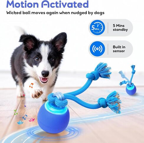 Interactive Dog Toys to Keep Them Chase Busy Buddy Doggie Ball for Small Puppy(Blue) in Saudi Arabia