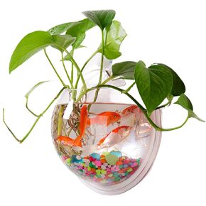 Wall Mounted Fish Tank: Acrylic Hanging Bowl 9In Diameter - Clear Bubble Aquarium for Betta Fish, Home Decor, Wall Planter (No Plants Included) in Saudi Arabia