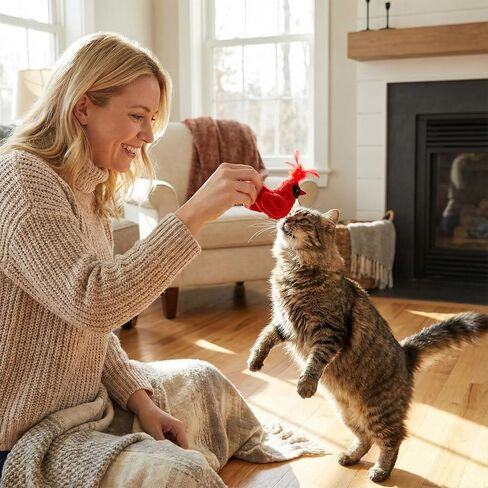 3 Pcs Bird Cat Toy with Chirping Sound, 3.15 Inch Interactive Exercise Toy with Lifelike Bird Chirp, Red Cardinal Blue Jay Goldfinch for Indoor Bored Cats Kittens, Gifts for Valentines Day in Saudi Arabia
