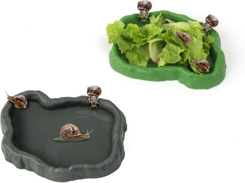 2 Set Snail Feeding Dish Set for Land Snails, Snail Feeder and Water Dish Kit-Calcium Food Bowl & Water Tray, Land Snail Tiny Pet Dishes Mini Pet Snail Supplies Accessories (Rock Green + Gray) in Saudi Arabia