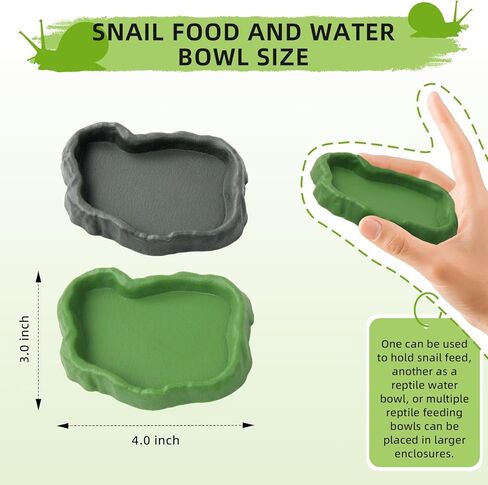 2 Set Snail Feeding Dish Set for Land Snails, Snail Feeder and Water Dish Kit-Calcium Food Bowl & Water Tray, Land Snail Tiny Pet Dishes Mini Pet Snail Supplies Accessories (Rock Green + Gray) in Saudi Arabia