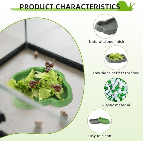 2 Set Snail Feeding Dish Set for Land Snails, Snail Feeder and Water Dish Kit-Calcium Food Bowl & Water Tray, Land Snail Tiny Pet Dishes Mini Pet Snail Supplies Accessories (Rock Green + Gray) in Saudi Arabia