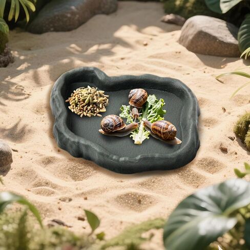 2 Set Snail Feeding Dish Set for Land Snails, Snail Feeder and Water Dish Kit-Calcium Food Bowl & Water Tray, Land Snail Tiny Pet Dishes Mini Pet Snail Supplies Accessories (Rock Green + Gray) in Saudi Arabia