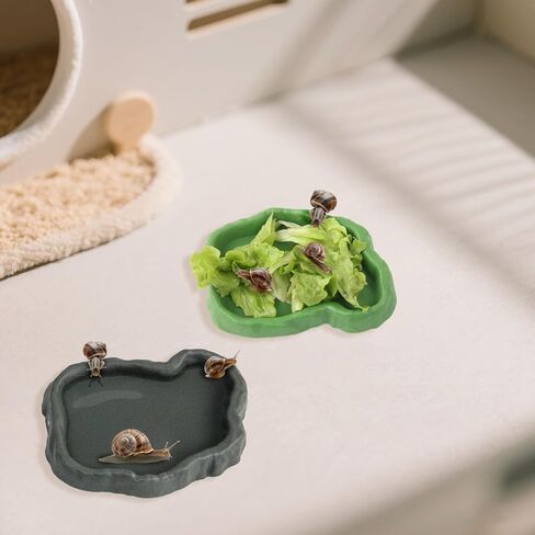 2 Set Snail Feeding Dish Set for Land Snails, Snail Feeder and Water Dish Kit-Calcium Food Bowl & Water Tray, Land Snail Tiny Pet Dishes Mini Pet Snail Supplies Accessories (Rock Green + Gray) in Saudi Arabia