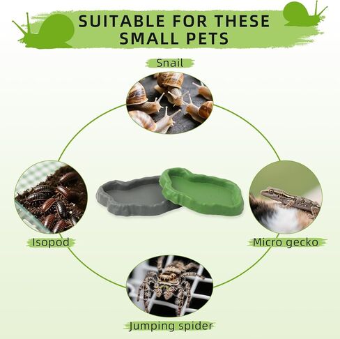 2 Set Snail Feeding Dish Set for Land Snails, Snail Feeder and Water Dish Kit-Calcium Food Bowl & Water Tray, Land Snail Tiny Pet Dishes Mini Pet Snail Supplies Accessories (Rock Green + Gray) in Saudi Arabia