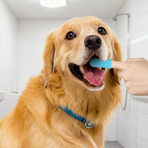مجموعة 4 قطع من فرش حمام الكلاب، فرشاة شامبو مضادة للانزلاق، فرشاة تدليك قابلة للتعديل، شعيرات سيليكون 360 درجة، فرشاة أسنان للاستحمام للحيوانات الأليفة in Kuwait