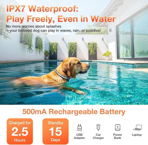 Electric Fence for Dogs, Rechargeable Underground Dog Fence with 656Ft Wire, 2 Waterproof Collar, Wired Dog Fence System for 2 Dogs in Saudi Arabia