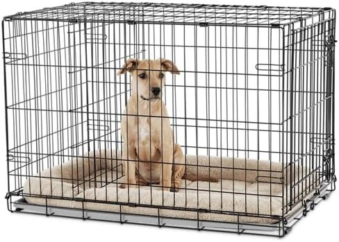 EveryYay by Petco قفص للكلاب بباب واحد، كبير جدًا، 42 بوصة طول × 28.5 بوصة عرض × 30.4 بوصة ارتفاع، أسود: بدون مقابض in Kuwait