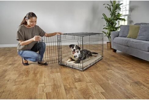 EveryYay by Petco قفص للكلاب بباب واحد، كبير جدًا، 42 بوصة طول × 28.5 بوصة عرض × 30.4 بوصة ارتفاع، أسود: بدون مقابض in Kuwait