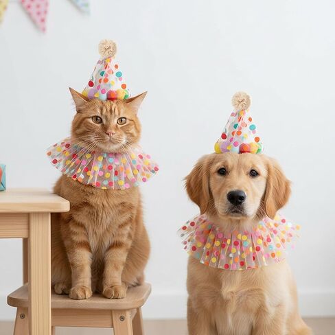 Cat Birthday Hat and Bandana, Cute Cat Party Costume Outfit Small Cats Kitten Party Hat Lace Bib Scarf for Birthday Celebrations Photograph in Kuwait