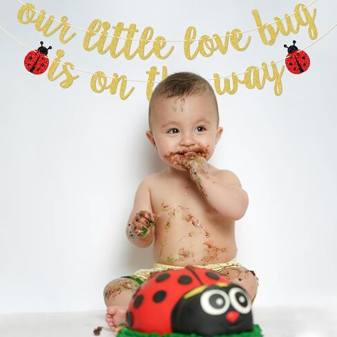 لافتة الحب الصغيرة الخاصة بنا على الطريق، ديكورات حمام الطفل ذات طابع الحشرات، ديكور حفلة استحمام الطفل للسيدة الصغيرة in Kuwait