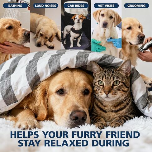 زيت النمر للكلاب والقطط (عبوتان)-قطرات زيت النمر للحيوانات الأليفة تساعد في تخفيف القلق والألم والالتهاب والاسترخاء وتعزز الشهية وتدعم المفاصل in Kuwait