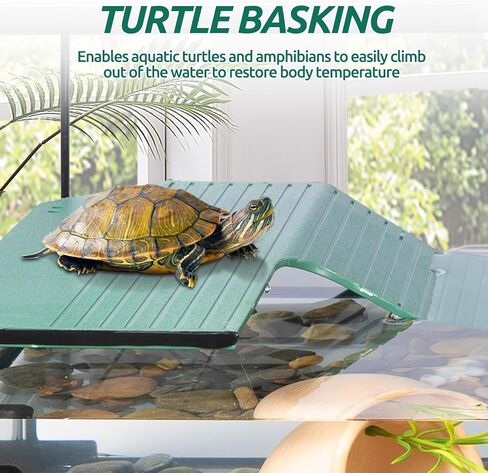 طقم خزان السلاحف الزجاجي من Oiibo، 10 جالون، 20 بوصة × 12 بوصة × 10 بوصة، طقم بداية لخزان السلاحف مع نظام صرف، ومنصة تشمس وزاوية حوض السمك الهادئ، فلتر داخلي لتررم السلحفاة المائية in Kuwait