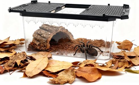 Reptile Terrarium,Tarantula Enclosure,Spider Tank Starter Kit,Leopard Gecko Container,Hermit Crab Habitat,Lizard Enclosure,Insect Housing,Jumping Spider Cage,Small Bearded Dragon Vivarium in Saudi Arabia