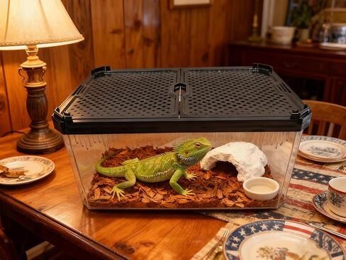 Reptile Terrarium,Tarantula Enclosure,Spider Tank Starter Kit,Leopard Gecko Container,Hermit Crab Habitat,Lizard Enclosure,Insect Housing,Jumping Spider Cage,Small Bearded Dragon Vivarium in Saudi Arabia