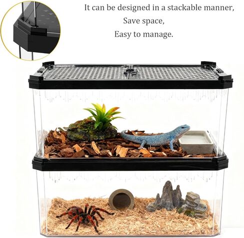Reptile Terrarium,Tarantula Enclosure,Spider Tank Starter Kit,Leopard Gecko Container,Hermit Crab Habitat,Lizard Enclosure,Insect Housing,Jumping Spider Cage,Small Bearded Dragon Vivarium in Saudi Arabia