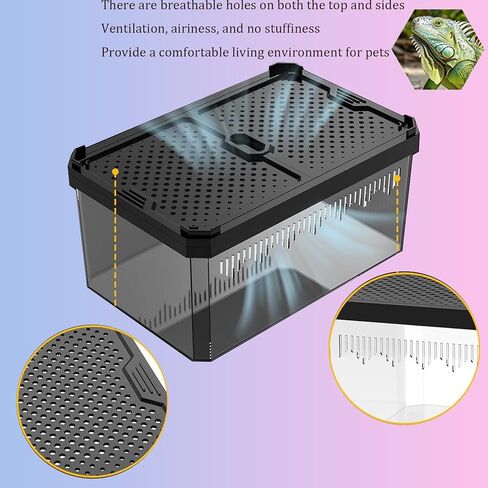 Reptile Terrarium,Tarantula Enclosure,Spider Tank Starter Kit,Leopard Gecko Container,Hermit Crab Habitat,Lizard Enclosure,Insect Housing,Jumping Spider Cage,Small Bearded Dragon Vivarium in Saudi Arabia
