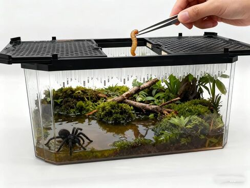Reptile Terrarium,Tarantula Enclosure,Spider Tank Starter Kit,Leopard Gecko Container,Hermit Crab Habitat,Lizard Enclosure,Insect Housing,Jumping Spider Cage,Small Bearded Dragon Vivarium in Saudi Arabia