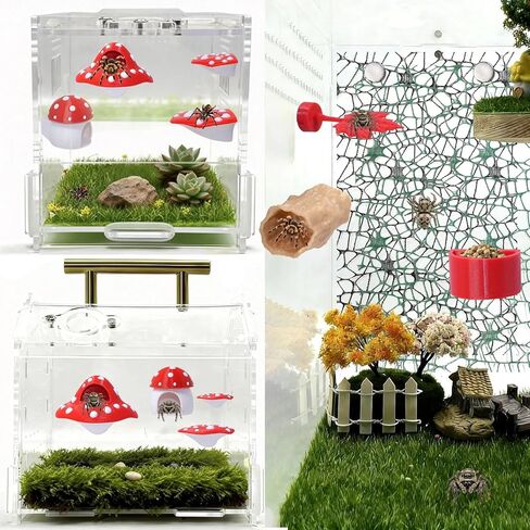 9 Pcs 3D Jumping Spider Enclosure Accessories Set, Red Magnetic Jumping Spider Mushroom Platforms, Climbing Net Trunk Hideouts for Small Pets Terrarium Decor in Kuwait