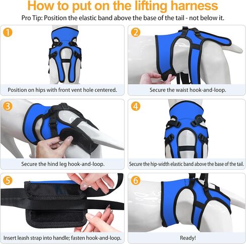 LIANZIMAU حبال للكلاب الكبيرة، حزام دعم للساق الخلفية قابل للتعديل، حامل مساعدة على الحركة للكلاب الكبيرة من أجل إعادة تأهيل الأرجل الخلفية والمشي in Kuwait
