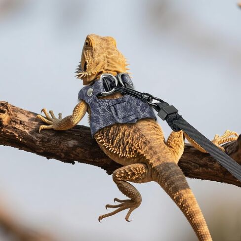 AIITLE 3 Pack Adjustable Bearded Dragon Harness and Leash Set - Leopard Print, Comfort Soft Leather Vest for Lizards, Iguanas, Guinea Pigs, Outdoor Camping & Walking, Blue in Saudi Arabia