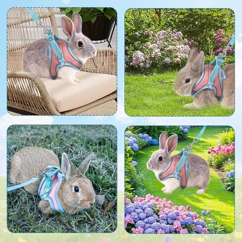 Bunny Harness and Leash Set, Rabbit Leash and Harness Set Escape Proof, Reflective Strips Jacket for Small Rabbit, Puppy, Kitten (Pink and Blue, S) in Kuwait