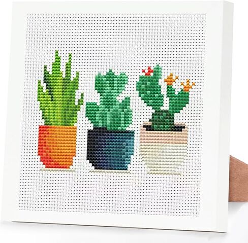 Tiwabb Succulent Stamped Cross Stitch Kits for Adults Beginners with Frame in Saudi Arabia