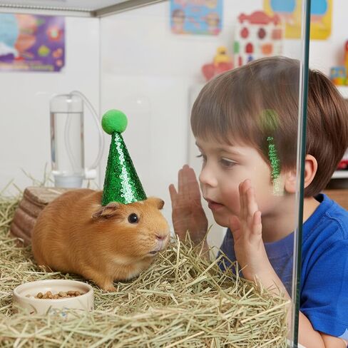 12 PCS Stuffed Animal Party Hats, Mini Birthday Hats for Stuffed Animals, Dog Party Hat Set with Pom Poms and Sequins, Perfect for Pet Birthday Parties and Photo Shoots in Saudi Arabia