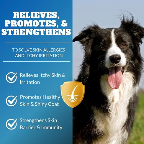 Dog Allergy Itch Relief Chews Supplement – Itchy Skin, Hot Spot & Dry Skin Support for Paw Licking, Anti-Itch Allergy Chews with Fish Oil, Colostrum & Probiotics – 120 Ct in Kuwait