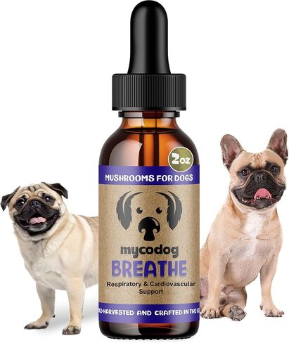 MycoDog Breathe - Respiratory Support Supplement for Dogs - Breathing Comfort & Airway Health - French Bulldogs, Pugs, & Flat-Faced Breeds - Natural Mushroom and Ashwagandha Drops - 2 oz in Saudi Arabia