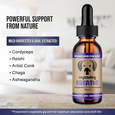 MycoDog Breathe - Respiratory Support Supplement for Dogs - Breathing Comfort & Airway Health - French Bulldogs, Pugs, & Flat-Faced Breeds - Natural Mushroom and Ashwagandha Drops - 2 oz in Saudi Arabia