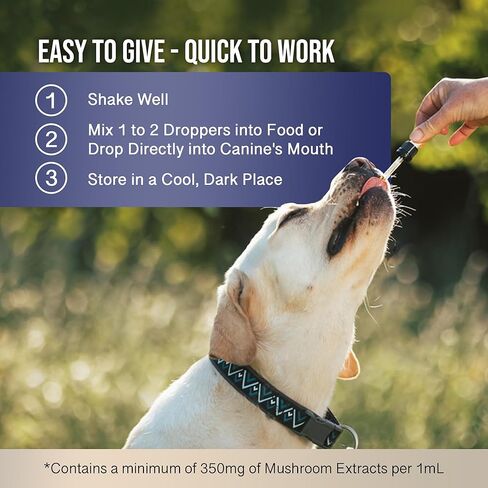 MycoDog Breathe - Respiratory Support Supplement for Dogs - Breathing Comfort & Airway Health - French Bulldogs, Pugs, & Flat-Faced Breeds - Natural Mushroom and Ashwagandha Drops - 2 oz in Saudi Arabia