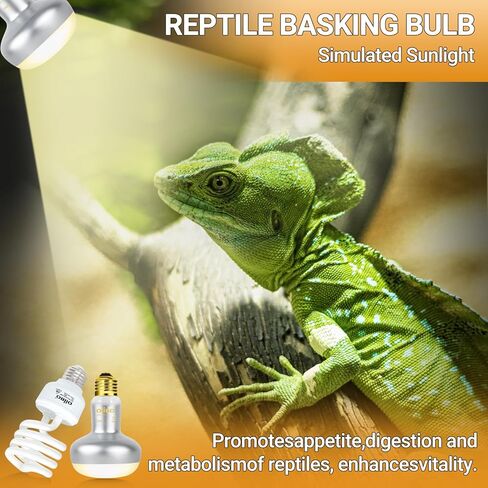 Oiibo 100W مصباح الحرارة الزواحف Blub و26W 10.0 UVB حزمة التحرير والسرد ضوء الزواحف، الفرح بقعة ضوء UVA مصباح الحرارة و26W توفير الطاقة UVB ضوء UVA للزواحف التنين الملتحي والسلاحف والسحلية in Kuwait