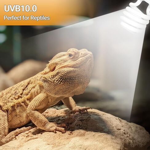 Oiibo 100W مصباح الحرارة الزواحف Blub و26W 10.0 UVB حزمة التحرير والسرد ضوء الزواحف، الفرح بقعة ضوء UVA مصباح الحرارة و26W توفير الطاقة UVB ضوء UVA للزواحف التنين الملتحي والسلاحف والسحلية in Kuwait