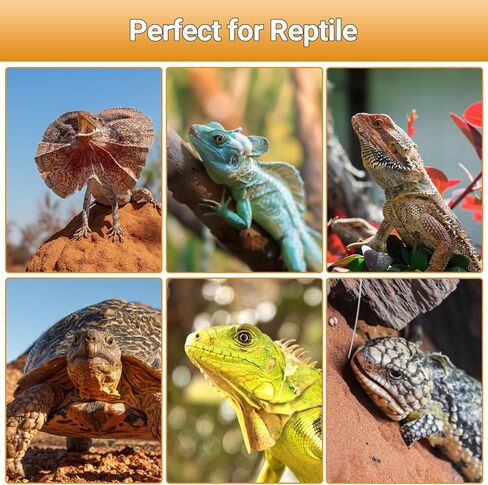 Oiibo 100W مصباح الحرارة الزواحف Blub و26W 10.0 UVB حزمة التحرير والسرد ضوء الزواحف، الفرح بقعة ضوء UVA مصباح الحرارة و26W توفير الطاقة UVB ضوء UVA للزواحف التنين الملتحي والسلاحف والسحلية in Kuwait