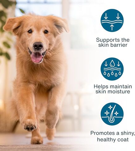 JustFoodForDogs JustFresh Boosts Sensitive Skin Dog Food Topper with Vitamin C, Vitamin E, Algae Oil, Omega-3 Fatty Acids, 8 oz Pouches - 8 Pack in Saudi Arabia