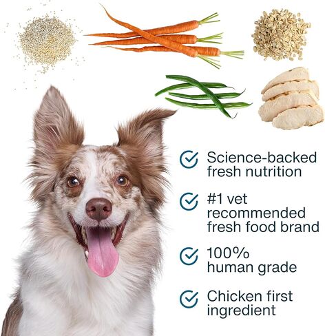 JustFoodForDogs JustFresh Boosts Sensitive Skin Dog Food Topper with Vitamin C, Vitamin E, Algae Oil, Omega-3 Fatty Acids, 8 oz Pouches - 8 Pack in Saudi Arabia