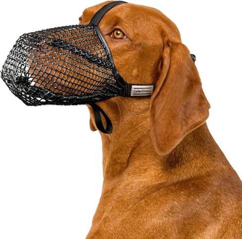 CollarDirect Dog Muzzle, Soft Mesh, Allows Breathing, Panting & Drinking, Protects from Biting, Scavenging & Wound Licking, Black, L: Snout 10' - 12' in Kuwait