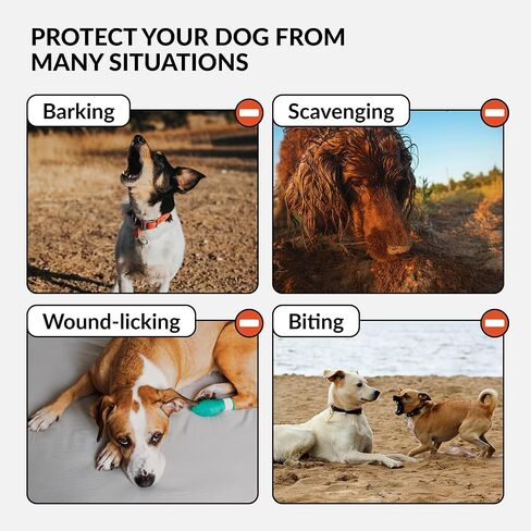 CollarDirect Dog Muzzle, Soft Mesh, Allows Breathing, Panting & Drinking, Protects from Biting, Scavenging & Wound Licking, Black, L: Snout 10' - 12' in Kuwait