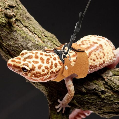 3 Pcs Bearded Dragon Harness and Leash Set Adjustable Leash Soft Leather Bearded Dragon Harness Lizard Accessory for Squirrels and Other Small Reptiles(Brown, 3 Sizes) in Kuwait