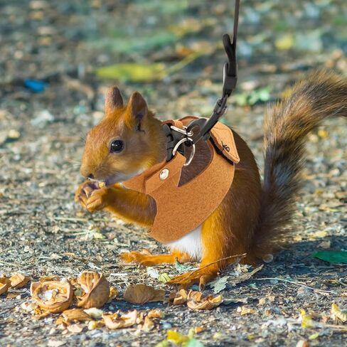 3 Pcs Bearded Dragon Harness and Leash Set Adjustable Leash Soft Leather Bearded Dragon Harness Lizard Accessory for Squirrels and Other Small Reptiles(Brown, 3 Sizes) in Kuwait
