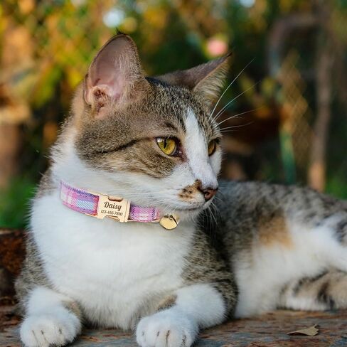 Personalized Plaid Cat Collar with Bell - Custom Polyester Kitten Collar with Engraved Name & Phone Number (Pattern 03, S (6.5-10.5 Inches)) in Saudi Arabia