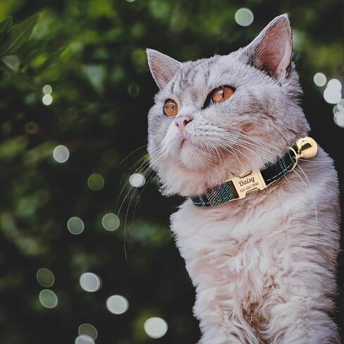 Personalized Plaid Cat Collar with Bell - Custom Polyester Kitten Collar with Engraved Name & Phone Number (Pattern 03, S (6.5-10.5 Inches)) in Saudi Arabia