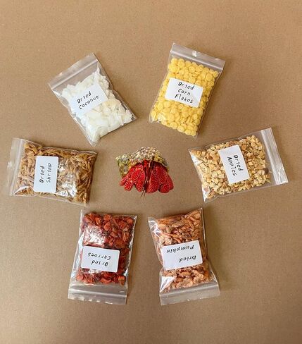 Hermit Crab Treats Food Bulk Bags | 6 Bag Different Set Hermit Crab Treats Mixes - Proteins, Fats, Natural Pigments, Minerals | 6oz Total in Saudi Arabia