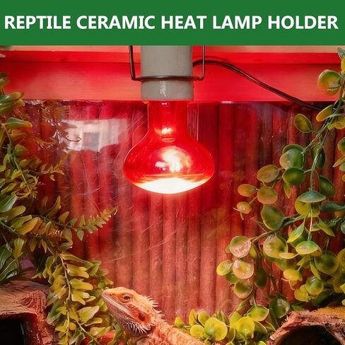 Reptile Light Fixture,Bearded Dragon Heat Lamp Holder Bracket with Thermometer,Pet Heating Light Ceramic Socket,Lamp Fixture for Amphibian,Gecko,Iguana,Lizard,Snake,Turtle (Deep-U) in Saudi Arabia