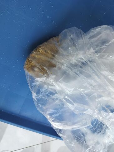 50 قطعة من بطانة قفص الحيوانات الصغيرة للاستعمال مرة واحدة، بطانات قفص خنزير غينيا أرنب من البلاستيك الشفاف، حقيبة بطانة قفص الأرنب، طبقة تواليت عالمية، فراش حيوانات صغيرة (50 قطعة، مقاس M) in Kuwait