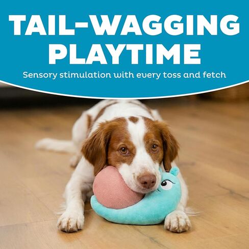 Outward Hound Coated Critterz Dog Toy – Plush & Molded Texture, Squeaky Fetch, Small & Medium Dogs, Snail, 8.7" in Saudi Arabia