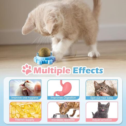 Catnip Ball - 4Packs - Catnip Balls for Cats Wall - Cat Nip Ball- Cat Nips Organic Balls - Magic Lickable for Cat Teeth Cleaning, Play in Kuwait