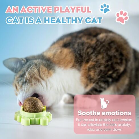 Catnip Ball - 4Packs - Catnip Balls for Cats Wall - Cat Nip Ball- Cat Nips Organic Balls - Magic Lickable for Cat Teeth Cleaning, Play in Kuwait